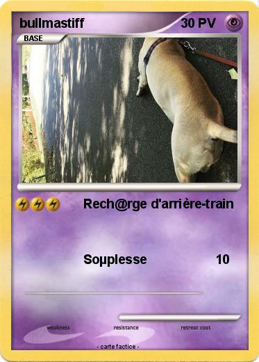 Pokemon bullmastiff