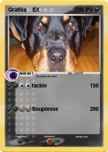 Pokemon Grafilia    EX