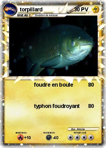 Pokemon torpillard