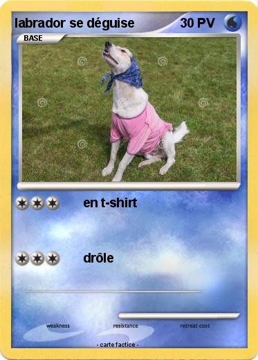 Pokemon labrador se déguise