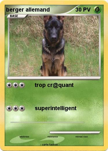 Pokemon berger allemand