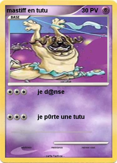 Pokemon mastiff en tutu