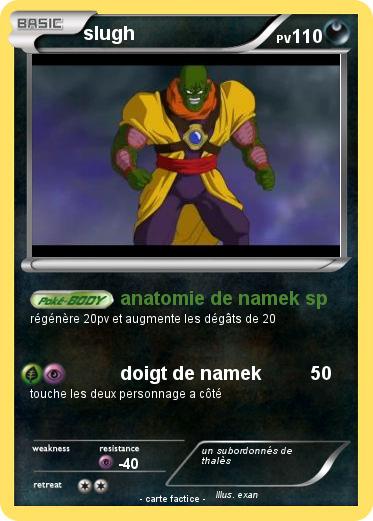 Pokemon slugh