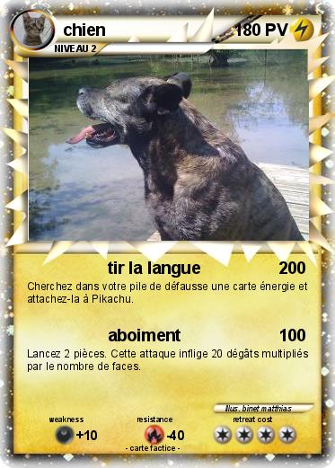 Pokemon chien
