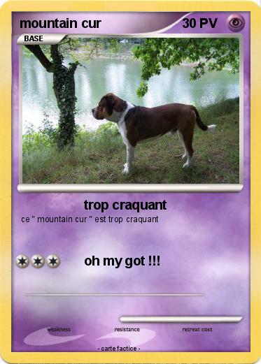 Pokemon mountain cur