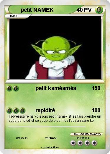 Pokemon petit NAMEK