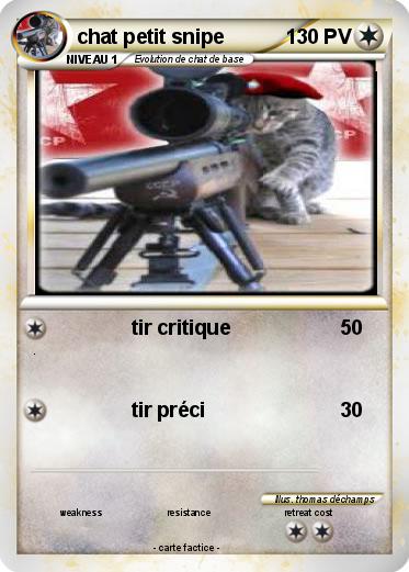Pokemon chat petit snipe