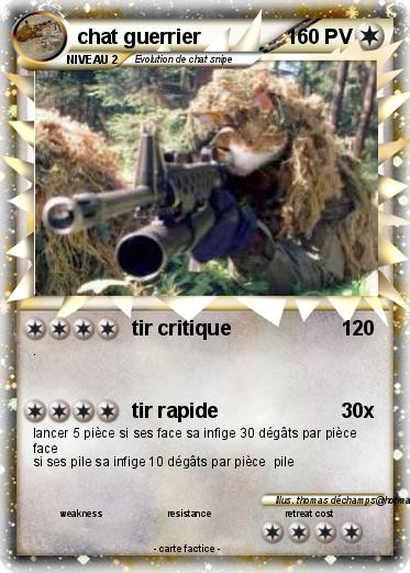 Pokemon chat guerrier
