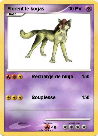 Pokemon Florent le kogas