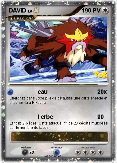 Pokemon DAVID
