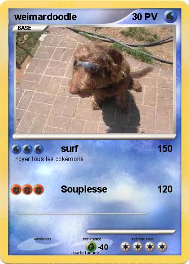 Pokemon weimardoodle