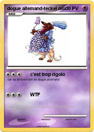 Pokemon dogue allemand-teckel mix