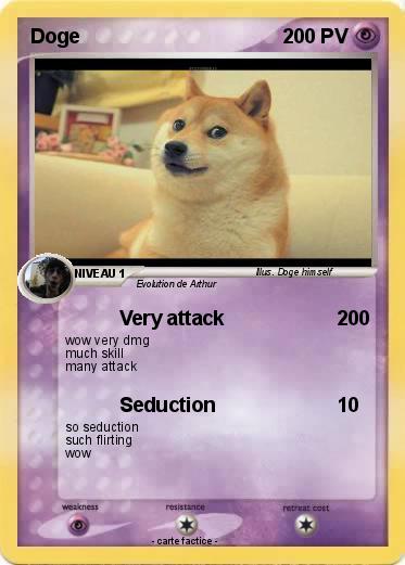 Pokemon Doge