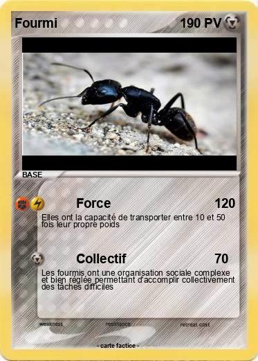 Pokemon Fourmi