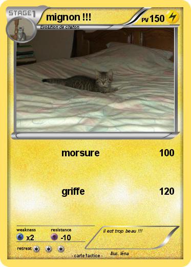 Pokemon mignon !!!