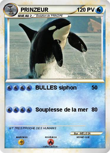 Pokemon PRINZEUR