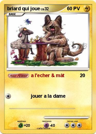 Pokemon briard qui joue