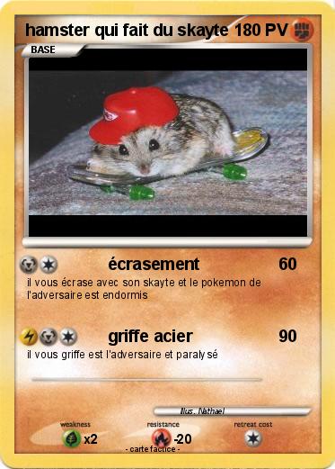 Pokemon hamster qui fait du skayte