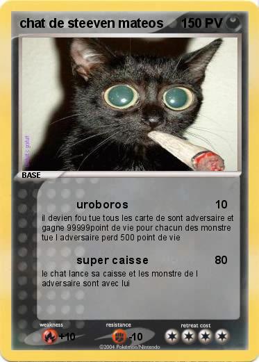 Pokemon chat de steeven mateos 
