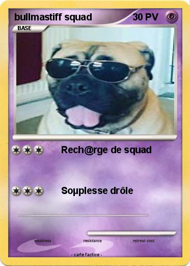 Pokemon bullmastiff squad