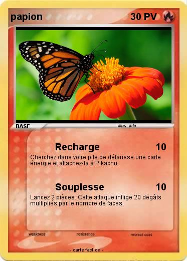 Pokemon papion