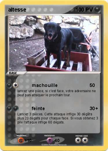 Pokemon altesse