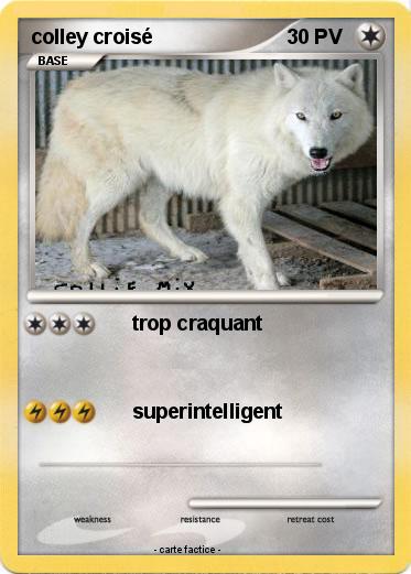 Pokemon colley croisé