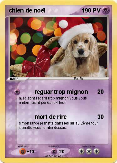 Pokemon chien de noël