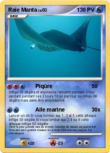 Pokemon Raie Manta