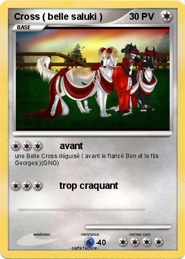Pokemon Cross ( belle saluki )