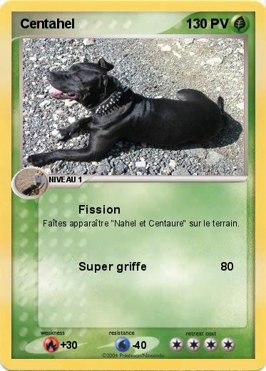 Pokemon Centahel