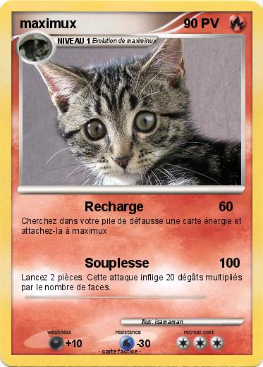 Pokemon maximux