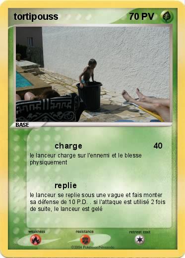 Pokemon tortipouss