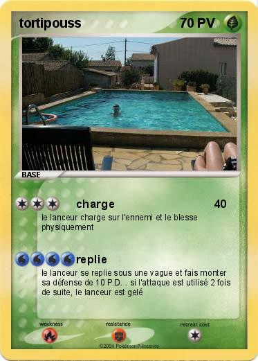 Pokemon tortipouss