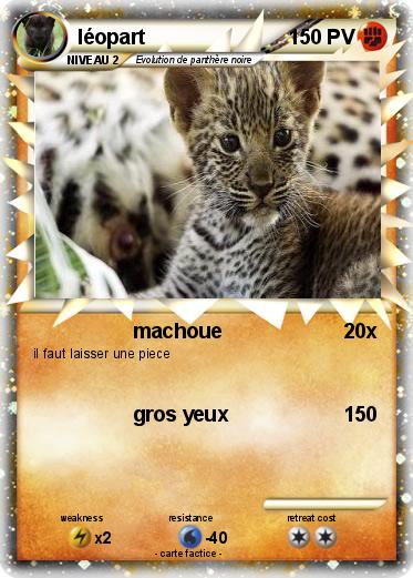 Pokemon léopart