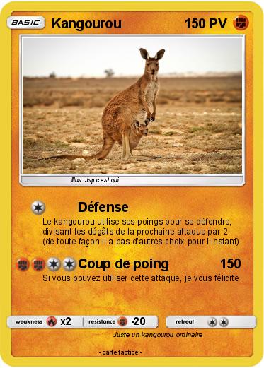 Pokemon Kangourou