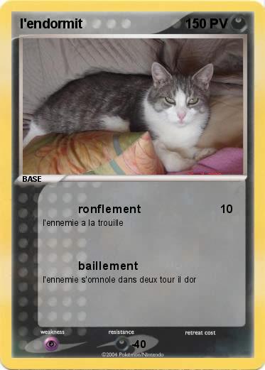 Pokemon l'endormit 