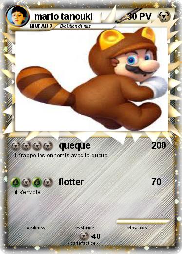 Pokemon mario tanouki