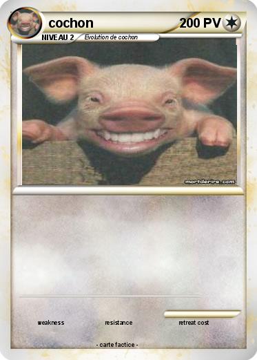 Pokemon cochon