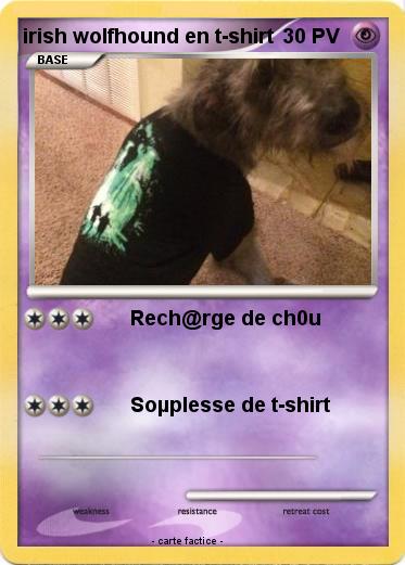 Pokemon irish wolfhound en t-shirt