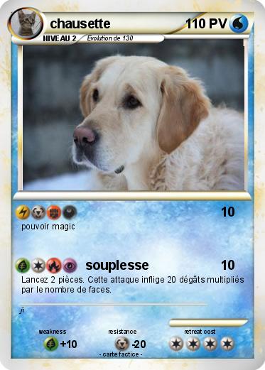 Pokemon chausette