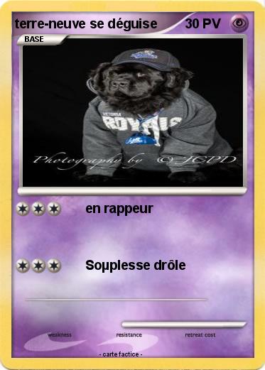 Pokemon terre-neuve se déguise