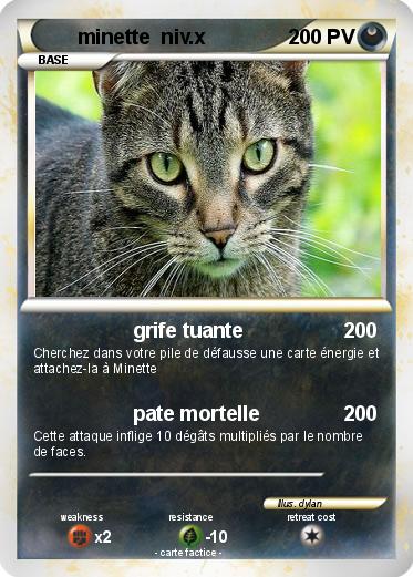 Pokemon minette  niv.x