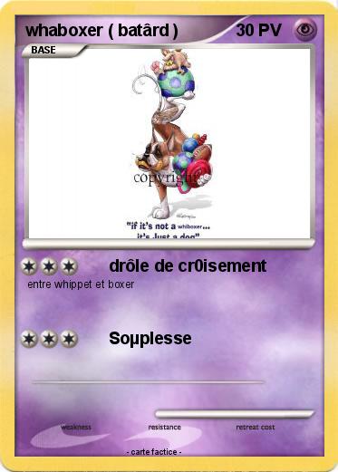 Pokemon whaboxer ( batârd )