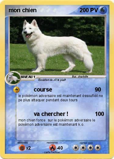 Pokemon mon chien
