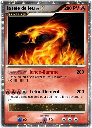 Pokemon la tete de feu