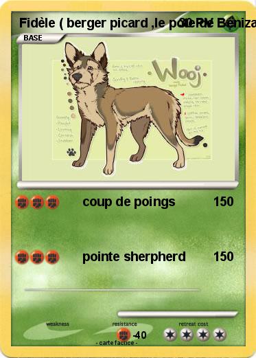 Pokemon Fidèle ( berger picard ,le pote de Benizakura