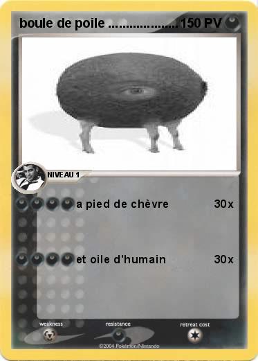 Pokemon boule de poile ....................