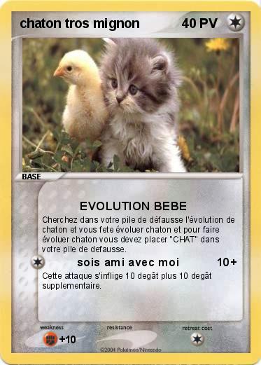Pokemon chaton tros mignon