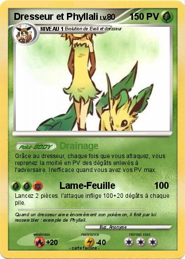 Pokemon Dresseur et Phyllali